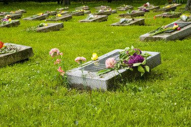 Similar image 158891