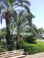 Similar image 158900