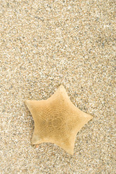 Similar image 158917