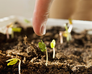 Similar image 158919