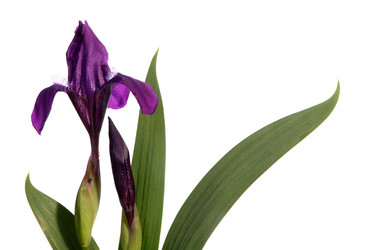 Similar image 158945