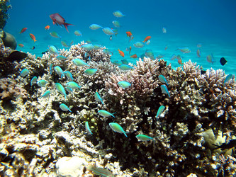 Similar image 158958