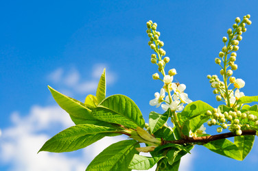 Similar image 158965