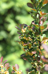 Similar image 158968