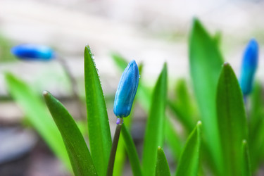 Similar image 159044