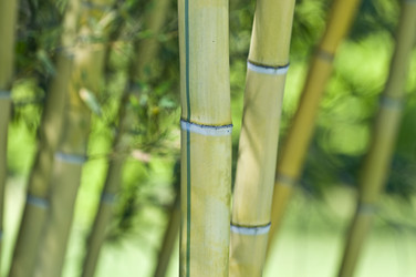 Similar image 159065