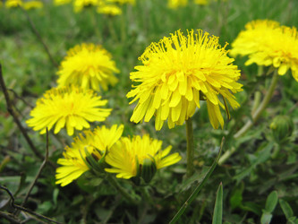 Similar image 159088