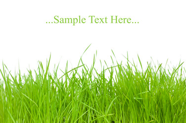 Similar image 159100