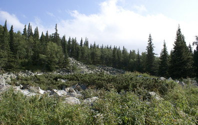 Similar image 159121