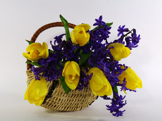 Similar image 159176