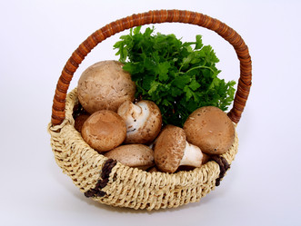 Similar image 159186