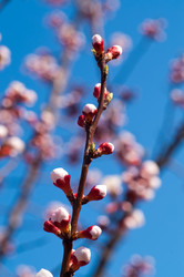 Similar image 159187