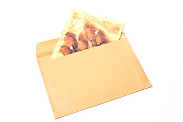 Similar image 159188