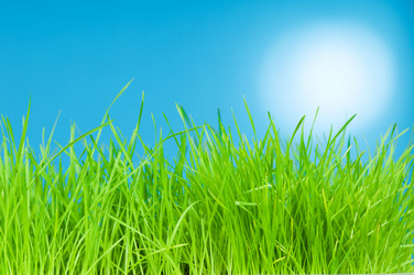 Similar image 159211