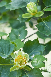 Similar image 159214