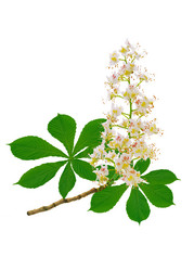 Similar image 159273