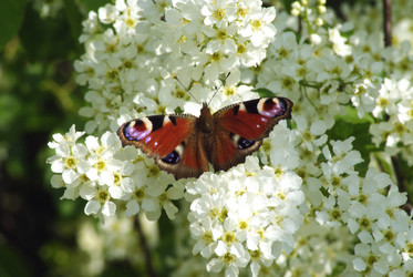 Similar image 159275