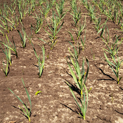 Similar image 159280