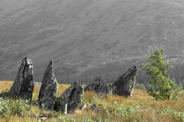 Similar image 159287