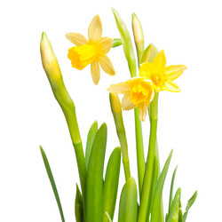 Similar image 159318