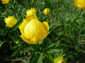 Similar image 159320