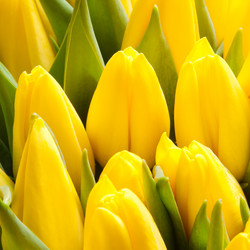 Similar image 159325