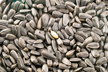 Similar image 159327