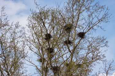 Similar image 159361