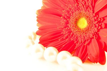 Similar image 159437