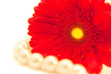 Similar image 159441