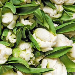 Similar image 159459