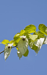 Similar image 159468