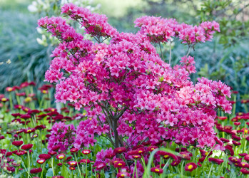 Similar image 159498