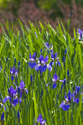 Similar image 159513