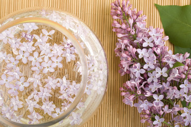 Similar image 159525