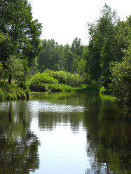 Similar image 159545