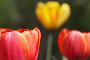 Similar image 159561