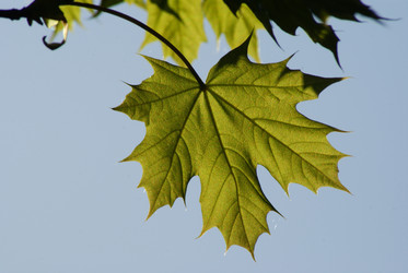 Similar image 159562