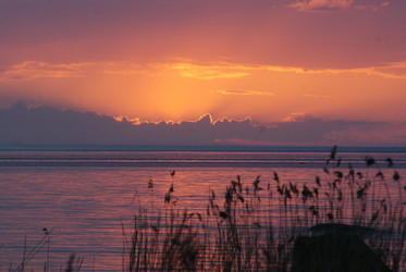 Similar image 159564