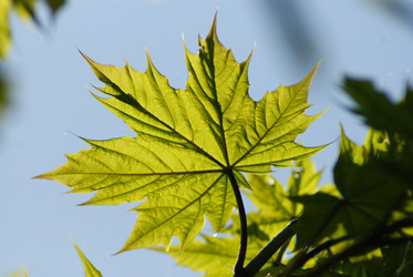 Similar image 159568