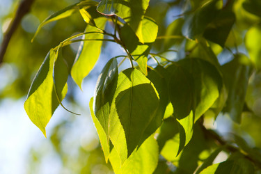 Similar image 159572