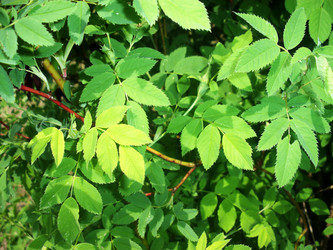 Similar image 159575