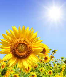 Similar image 159590