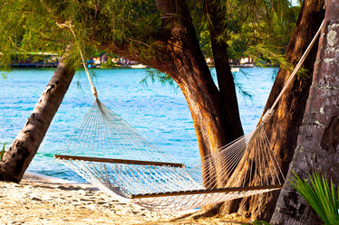 Similar image 159594