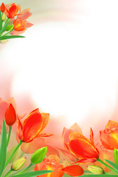 Similar image 159611