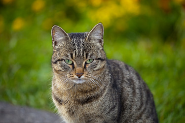 Similar image 159620