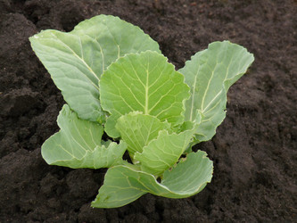 Similar image 159623