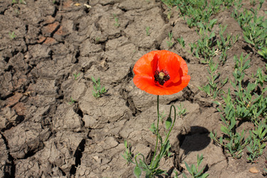 Similar image 159633