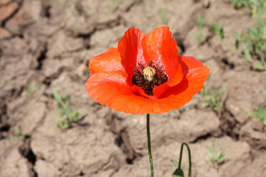 Similar image 159634