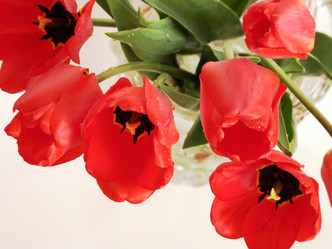 Similar image 159636